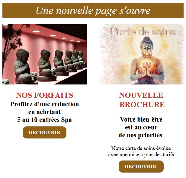 Nouvelle brochure Excellence Spa