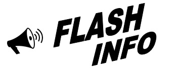 flash info logo
